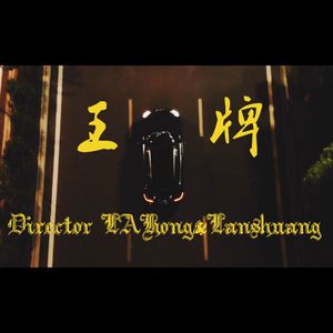 宅男视频在线网站免费观看
